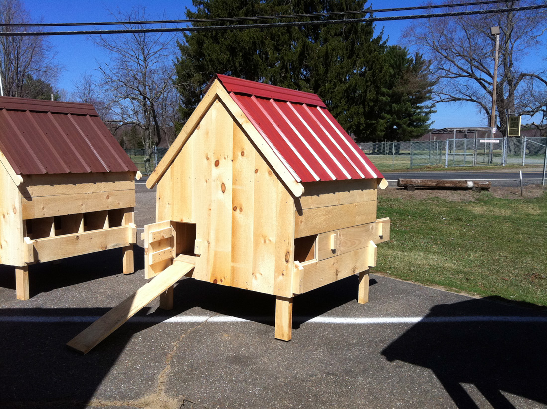 Chicken Coop - Phifer's Mini