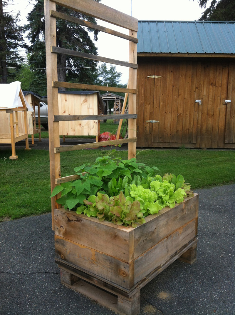 2x3 Tiered Pallet Garden Trellis