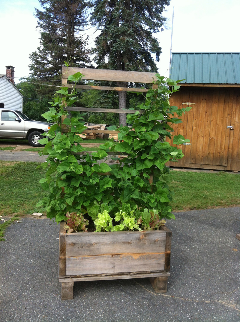 Raised Garden Beds