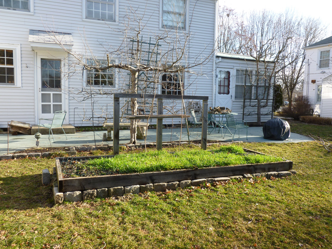 Raised Garden Beds